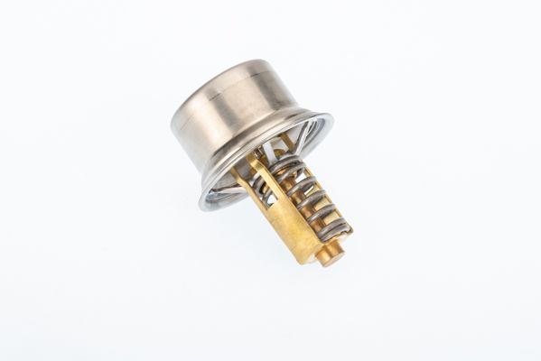 BorgWarner (Wahler) 411678.81D Thermostat, coolant