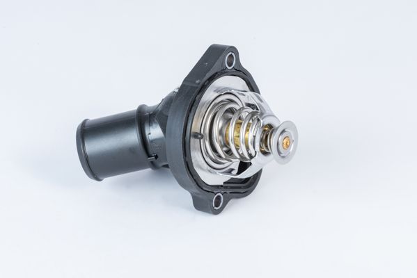 BorgWarner (Wahler) 411886.82D Thermostat, coolant