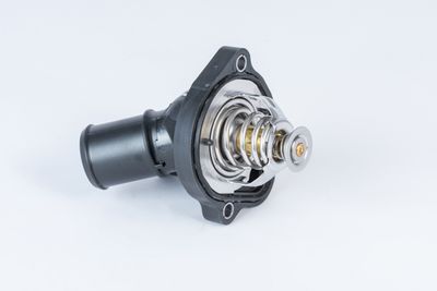 Thermostat, coolant BorgWarner (Wahler) 411886.82D