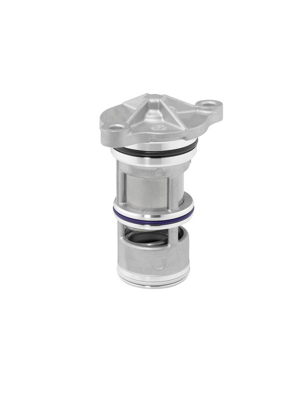 BorgWarner (Wahler) 411927.103D Thermostat, coolant
