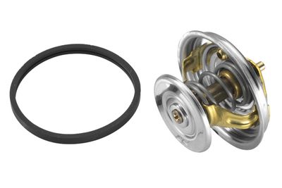 Thermostat, coolant BorgWarner (Wahler) 4122.87D