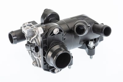 Thermostat, coolant BorgWarner (Wahler) 412250.96D