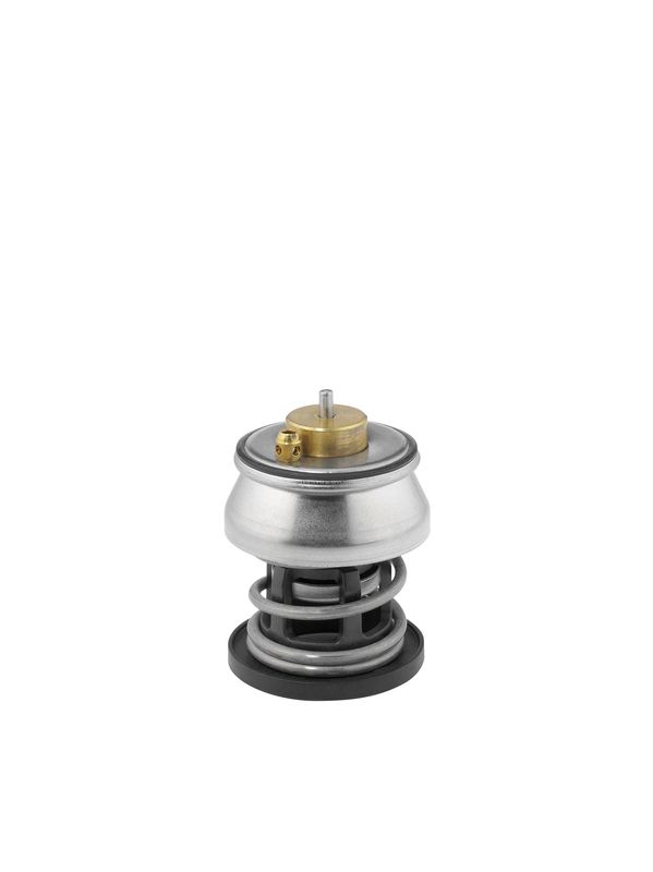 BorgWarner (Wahler) 412253.88D Thermostat, coolant