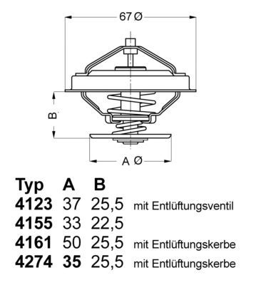 BorgWarner (Wahler) 4123.80D Thermostat, coolant