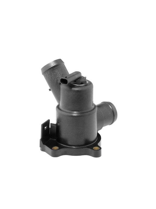 BorgWarner (Wahler) 412488.96D Thermostat, coolant