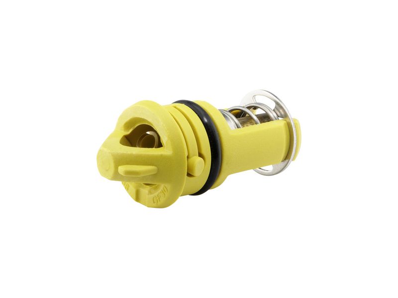 BorgWarner (Wahler) 412502.75D Thermostat, coolant