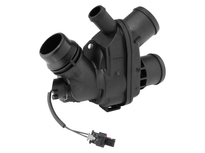 BorgWarner (Wahler) 412505.94D0 Thermostat, coolant