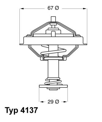 BorgWarner (Wahler) 4137.71D Thermostat, coolant