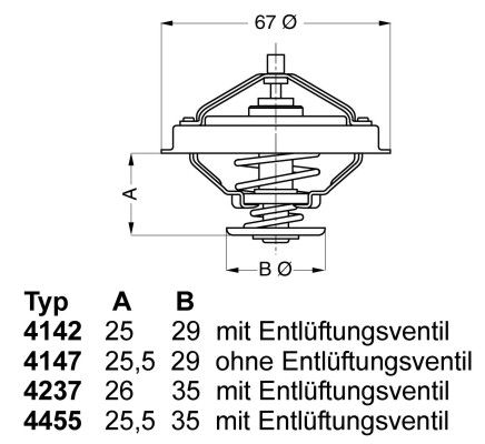 BorgWarner (Wahler) 4147.80D Thermostat, coolant
