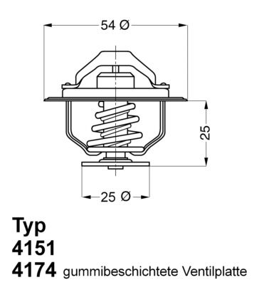 BorgWarner (Wahler) 4151.76D Thermostat, coolant
