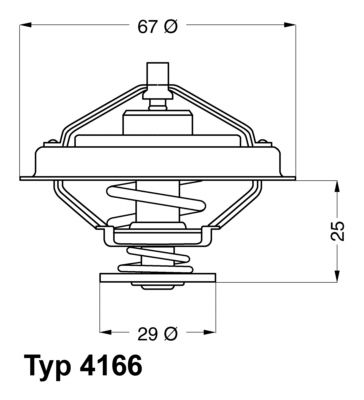 Thermostat, coolant BorgWarner (Wahler) 4166.79D