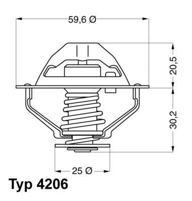 Thermostat, coolant BorgWarner (Wahler) 4206.90D