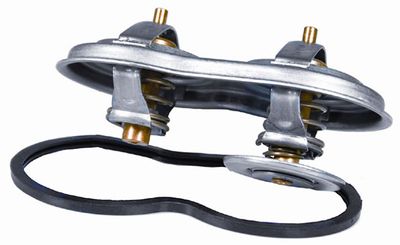 Thermostat, coolant BorgWarner (Wahler) 4223.75D