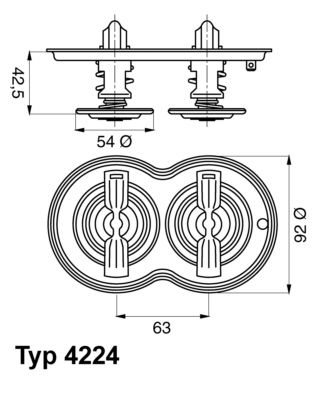 Thermostat, coolant BorgWarner (Wahler) 4224.75D