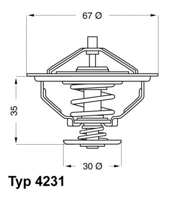 Thermostat, coolant BorgWarner (Wahler) 4231.71D