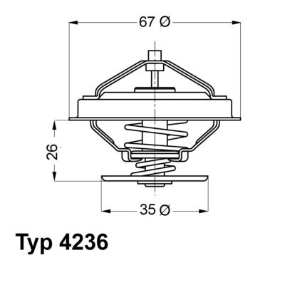 BorgWarner (Wahler) 4236.92D Thermostat, coolant