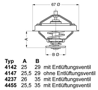 Thermostat, coolant BorgWarner (Wahler) 4237.80D
