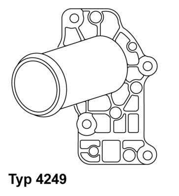 BorgWarner (Wahler) 4249.83D Thermostat, coolant