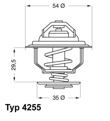 BorgWarner (Wahler) 4255.87D Thermostat, coolant