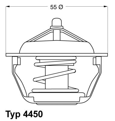 BorgWarner (Wahler) 4450.89D Thermostat, coolant