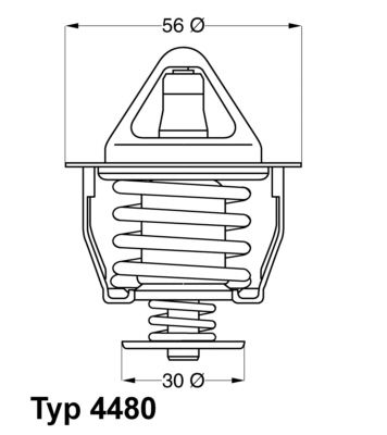 BorgWarner (Wahler) 4480.82D Thermostat, coolant