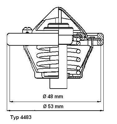 BorgWarner (Wahler) 4483.82D Thermostat, coolant