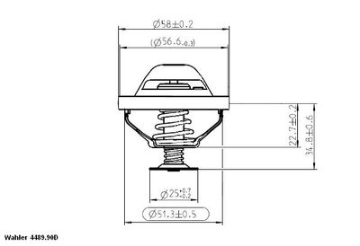 Thermostat, coolant BorgWarner (Wahler) 4489.90D