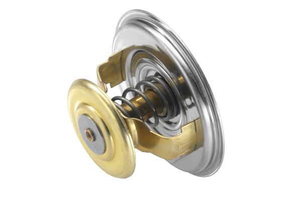 BorgWarner (Wahler) 4520.75 Thermostat, coolant