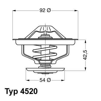 Thermostat, coolant BorgWarner (Wahler) 4520.80D