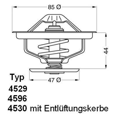 Thermostat, coolant BorgWarner (Wahler) 4529.70