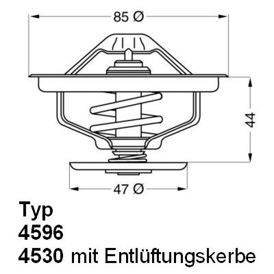BorgWarner (Wahler) 4596.83D Thermostat, coolant