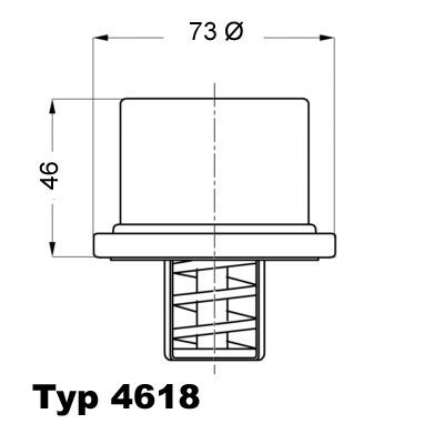 BorgWarner (Wahler) 4618.82 Thermostat, coolant