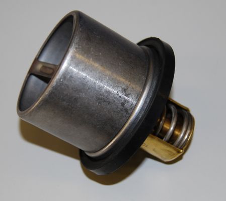 BorgWarner (Wahler) 4619.65D Thermostat, coolant