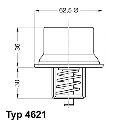 Thermostat, coolant BorgWarner (Wahler) 4621.80D