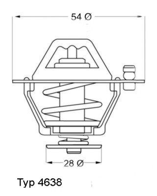 BorgWarner (Wahler) 4638.76D Thermostat, coolant