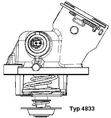 Thermostat, coolant BorgWarner (Wahler) 4833.100D