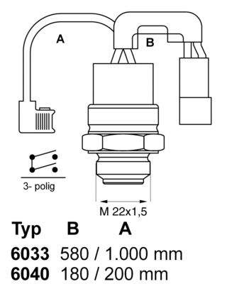 BorgWarner (Wahler) 6033.88 Temperature Switch, radiator fan