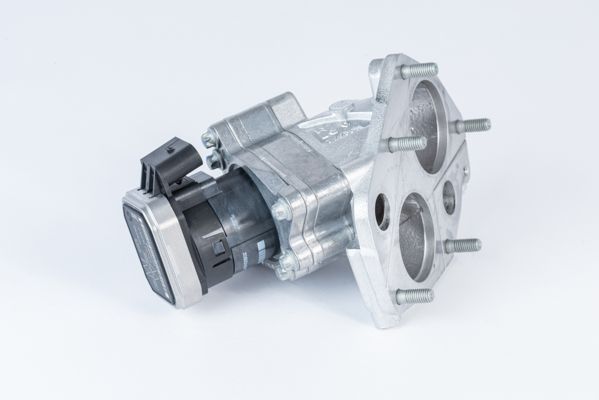 BorgWarner (Wahler) 710072D EGR Valve