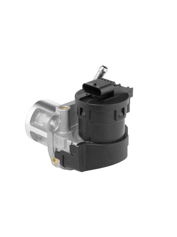 BorgWarner (Wahler) 710095D/1 EGR Valve