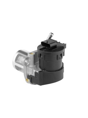 EGR Valve BorgWarner (Wahler) 710095D/1