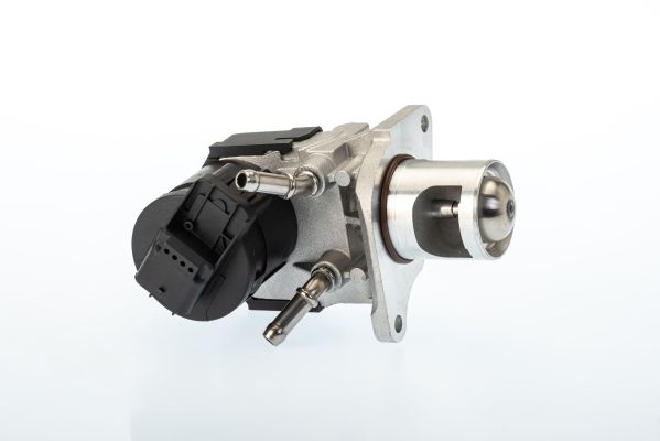 BorgWarner (Wahler) 710327D EGR Valve