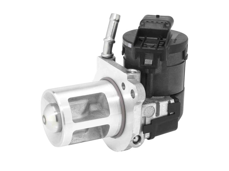 BorgWarner (Wahler) 710369D EGR Valve