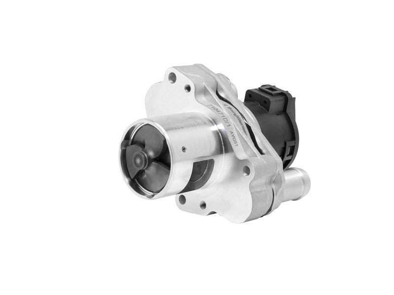 BorgWarner (Wahler) 710471D/1 EGR Valve