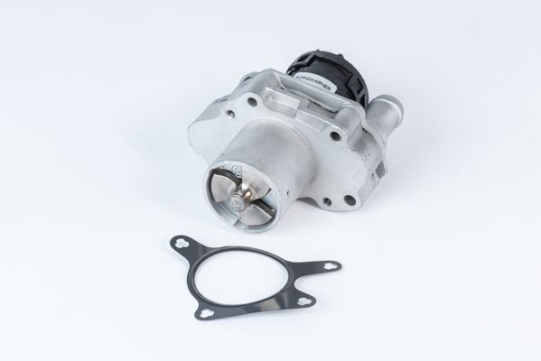 BorgWarner (Wahler) 710471R EGR Valve
