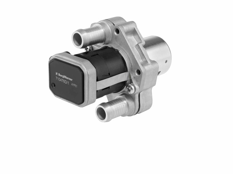 BorgWarner (Wahler) 710476D EGR Valve