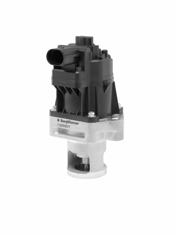 BorgWarner (Wahler) 710559D EGR Valve