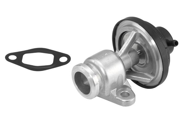BorgWarner (Wahler) 710570D EGR Valve