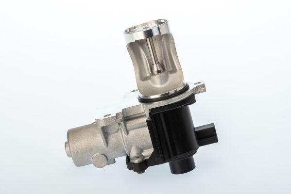BorgWarner (Wahler) 710571D EGR Valve