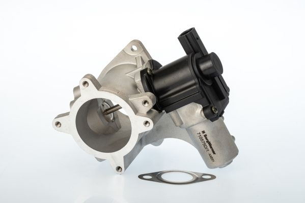 BorgWarner (Wahler) 710575D EGR Valve