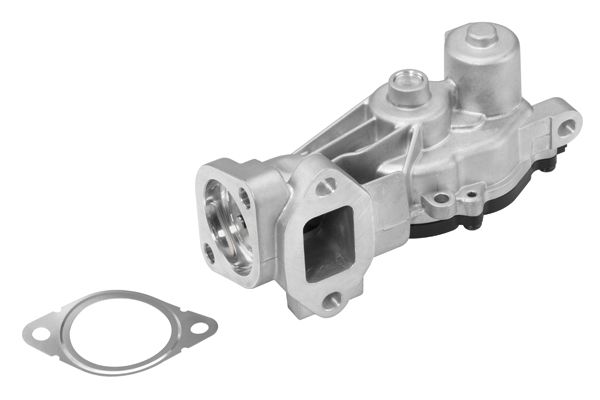 BorgWarner (Wahler) 710625D EGR Valve